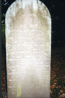 Photograph of: Jewish cemetery in Bederkesa.