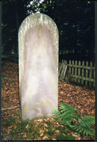 Photograph of: Jewish cemetery in Bederkesa.