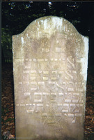 Photograph of: Jewish cemetery in Bederkesa.