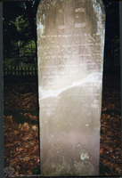 Photograph of: Jewish cemetery in Bederkesa.