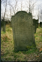 Photograph of: Jewish cemetery in Szydłowiec.
