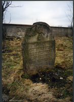 Photograph of: Jewish cemetery in Szydłowiec.