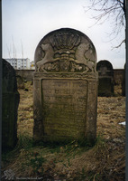 Photograph of: Jewish cemetery in Szydłowiec.