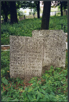 Photograph of: Jewish cemetery in Frampol.