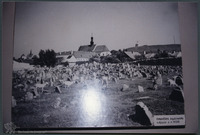 Photograph of: Jewish cemetery in Pińczów.