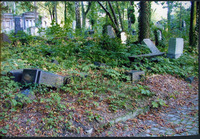 Photograph of: Old Jewish Cemetery in Wrocław.