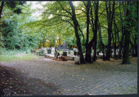 Photograph of: New Jewish Cemetery in Wrocław.