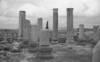 טיולים: ברעם.
