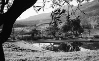 טיולים: פרוד.