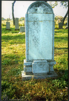 Photograph of: Jewish cemetery in Biharia.