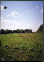 Photograph of: Jewish cemetery in Lipova.