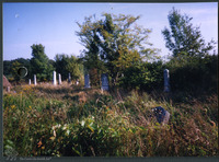 Photograph of: Unrecognized Jewish cemetery in Arad County.