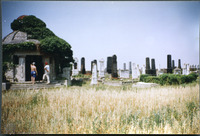 Photograph of: Jewish cemetery in Nădlac.