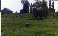 Photograph of: Jewish Cemetery in Alba Iulia.