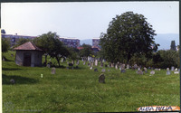 Photograph of: Jewish Cemetery in Alba Iulia.