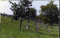 Photograph of: Jewish Cemetery in Alba Iulia.
