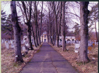 Photograph of: Jewish cemetery in Sibiu.