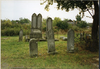Photograph of: Jewish cemetery in Târgoviște.
