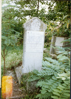 Photograph of: Jewish cemetery in Târgoviște.