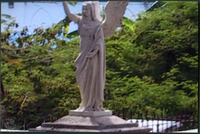 Photograph of: Jewish Cemetery in St. Thomas Island in the U.S. Virgin Islands.