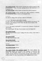 Photograph of: Description of the Brick Beit Midrash in Druja (Sapieżyn) : Description (English).