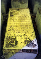 Photograph of: Jewish cemetery in Thessaloniki.
