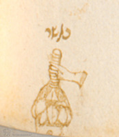 Photograph of: Gerard de Solo's Commentary on Book al-Mansuri : Fol. 128v-detail.