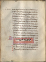 Photograph of: Munich Ibn Rushd Commentaries : Fol. 39.