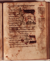 Photograph of: Ulm-Treviso Siddur : Fol. 252.