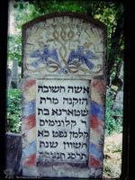 Photograph of: Jewish Cemetery in Roman - photos of 1969 : Tombstone of Shterna daughter of Kalonimus Kalman.