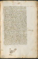 Photograph of: Yiddish Pentateuch : Fol. 77v.
