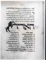 Photograph of: Hammelburg Mahzor : Fol. 235v.