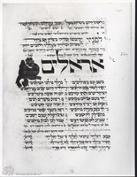 Photograph of: Hammelburg Mahzor : Fol. 297v.