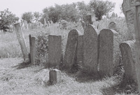 Photograph of: Jewish Cemetery in Lespezi.