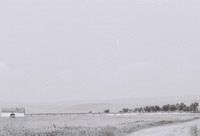 Photograph of: Jewish Cemetery in Lespezi.