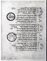 Photograph of: Hammelburg Mahzor : Fol. 83.