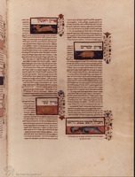 Photograph of: Bologna Canon of Medicine : Fol. 38v.