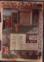Photograph of: Bologna Canon of Medicine : Fol. 78.