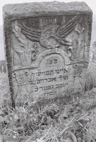 Photograph of: Jewish Cemetery in Podu Iloaiei : Tombstone.