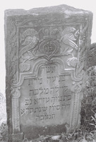 Photograph of: Jewish Cemetery in Podu Iloaiei : Tombstone.