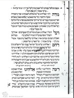 Photograph of: Herlingen Haggadah of 1749 : Fol. 17.