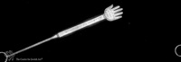 Photograph of: Torah pointer.
