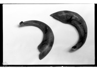 Photograph of: Shofar.