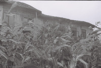 Photograph of: Royte Shul in Darabani : Exterior.