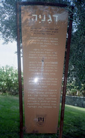 חג השבועות- ביכורים.