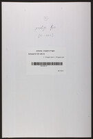 הכף הנשברת (=הכף השבורה).