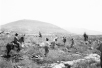 Arab workers from the occupied territories working in planting trees for the forest which is planed near Segera.