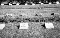 Cemetery near Dahau with graves of Jews but with a Christian Cross on the grave.