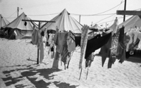The new Nahal military settlement, 'Nahal Dikla' was officially founded in north Sinai near the El Arish town.