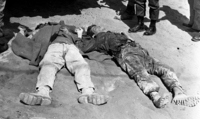 Two Arab terrorists were killed in a battle when they tried to penetrate the border into Israel near El Hamma.